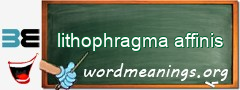 WordMeaning blackboard for lithophragma affinis